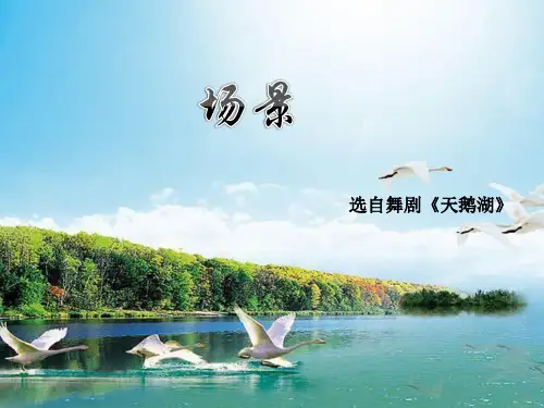 《场景》课件