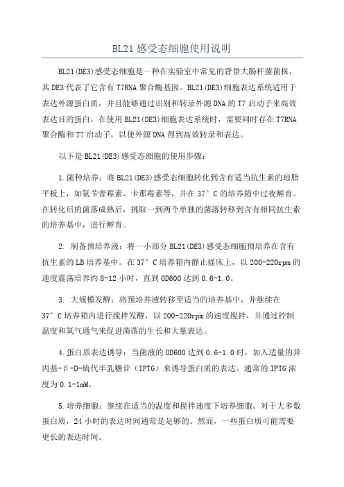 BL21感受态细胞使用说明