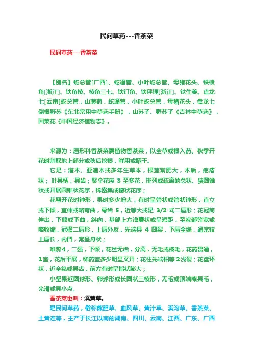 民间草药---香茶菜
