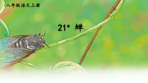 第21课《蝉》课件(共22张ppt)++2023-2024学年统编版语文八年级上册