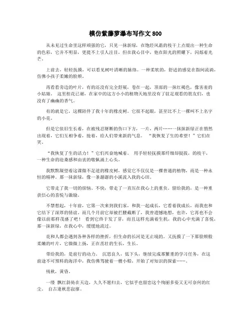 模仿紫藤萝瀑布写作文800
