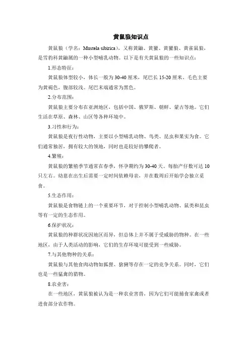 黄鼠狼知识点