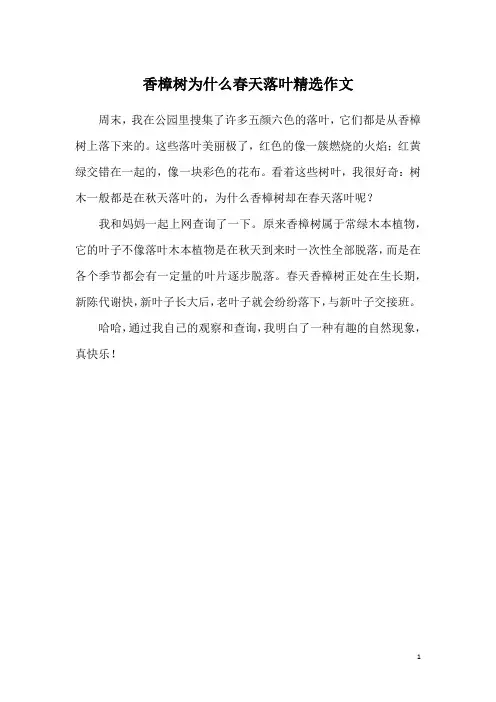 香樟树为什么春天落叶精选作文