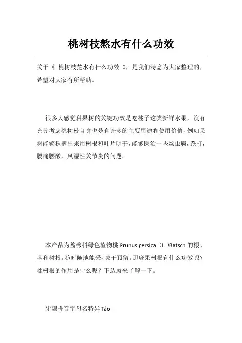 桃树枝熬水有什么功效
