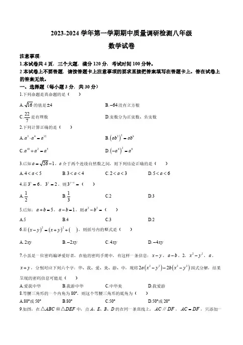 河南省洛阳市伊川县2023-2024学年八年级上学期期中数学试题(含答案)