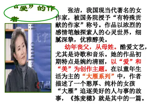 拣麦穗-肖亮琪共22页PPT资料