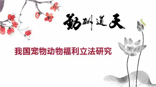 我国宠物动物福利立法研究