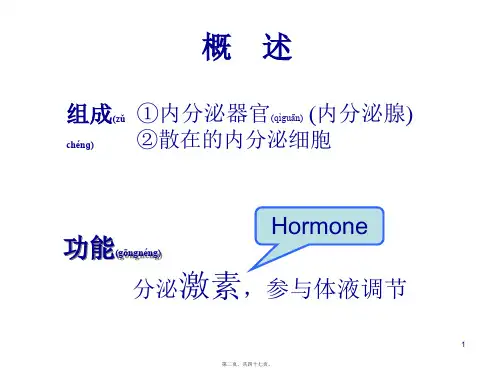 医学专题组织胚胎学内分泌系统