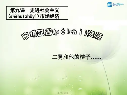 高中政治 经济生活第四单元 第九课第一框《市场配置资源》课件1 新人教版必修1