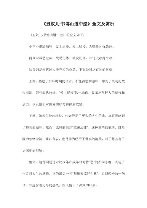丑奴儿 书博山道中壁赏析