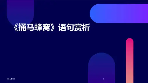 《捅马蜂窝》语句赏析(2024)