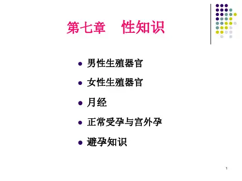 7、性知识