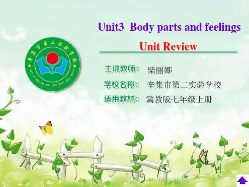 冀教版七年级英语上 Unit 3 Unit Review共35张