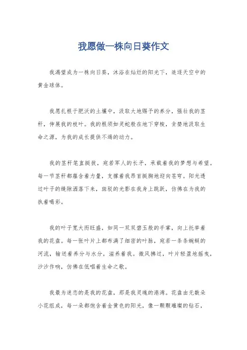 我愿做一株向日葵作文