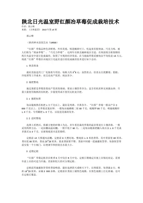 陕北日光温室野红颜冶草莓促成栽培技术