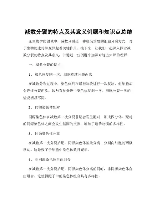减数分裂的特点及其意义例题和知识点总结