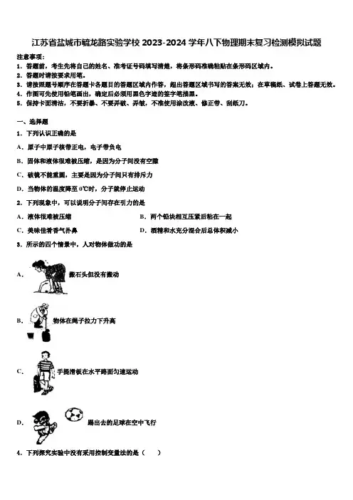 江苏省盐城市毓龙路实验学校2023-2024学年八下物理期末复习检测模拟试题及答案解析