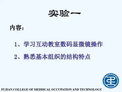 实验1基本组织实验