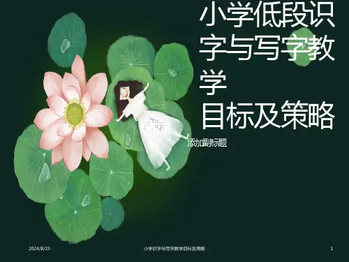 小学低段识字与写字教学目标及策略