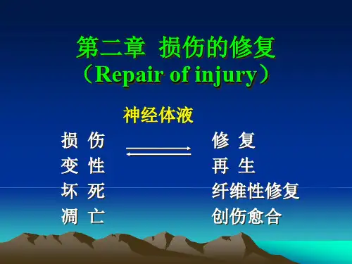 损伤的修复学说基础