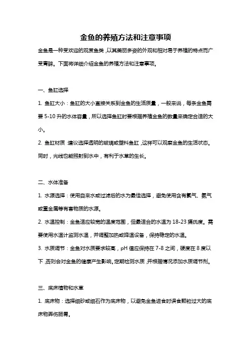 金鱼的养殖方法和注意事项