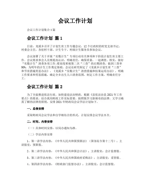 会议工作计划