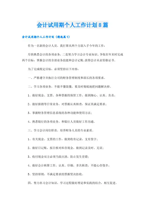会计试用期个人工作计划8篇
