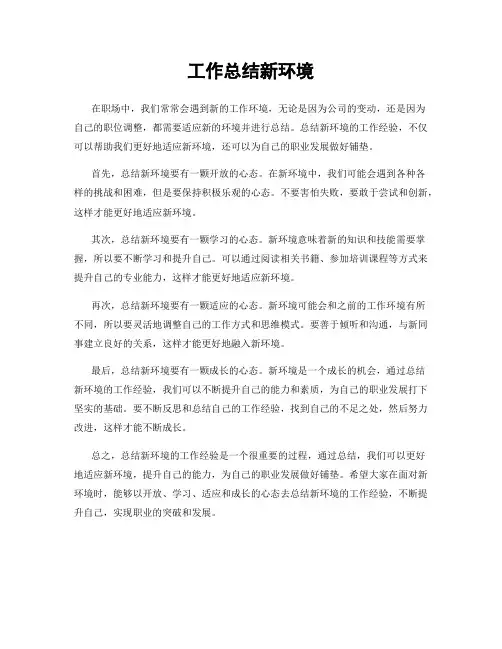 工作总结新环境