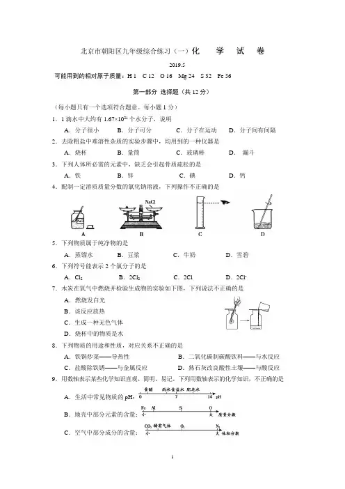 2019北京市朝阳区九年级综合练习(一)化    学   试   卷