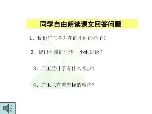 六年级语文广玉兰1(PPT)3-1