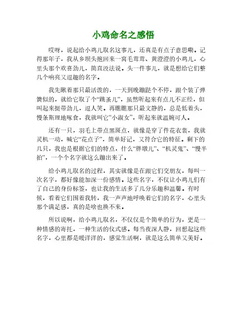我给小鸡取名字读后感