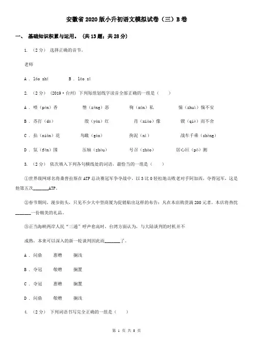 安徽省2020版小升初语文模拟试卷(三)B卷