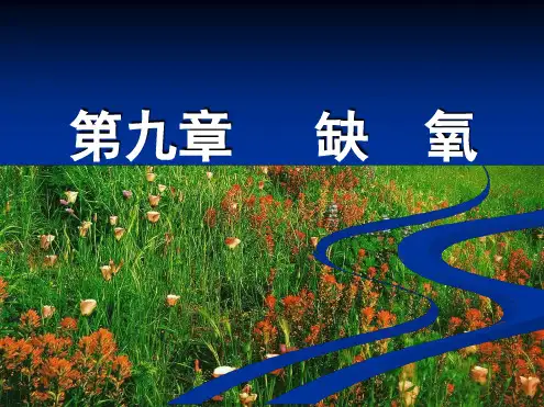 病理学：09缺氧