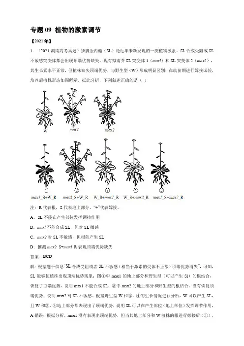 09 植物的激素调节-五年(2017-2021)高考生物真题分项详解(全国通用)解析