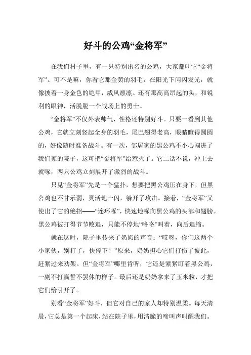 好斗的公鸡“金将军”