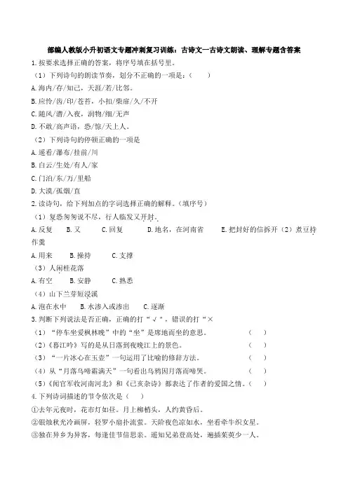 统编-部编人教版小升初语文专题冲刺复习训练：古诗文一古诗文朗读、理解专题含答案