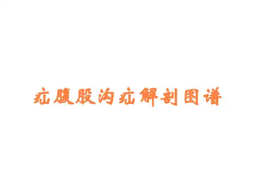 疝腹股沟疝解剖图谱