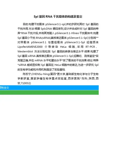 Spl基因RNA干扰载体的构建及鉴定