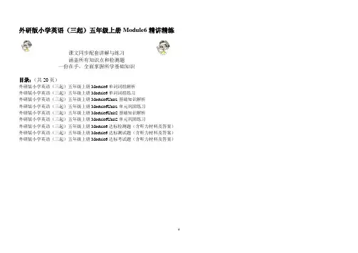 外研版小学英语(三起)五年级上册Module6基础知识精讲精练