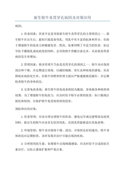 新生犊牛真胃穿孔病因及对策应用
