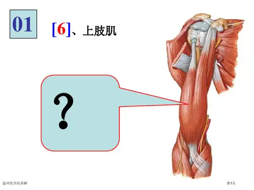 温州医学院系解