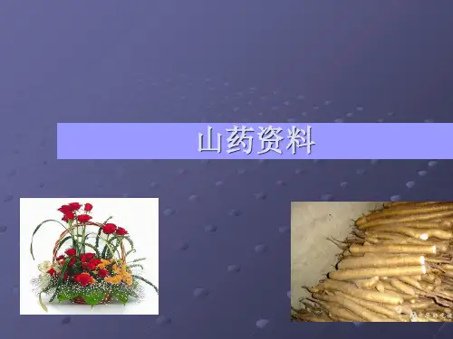 山药种植技术PPT课件