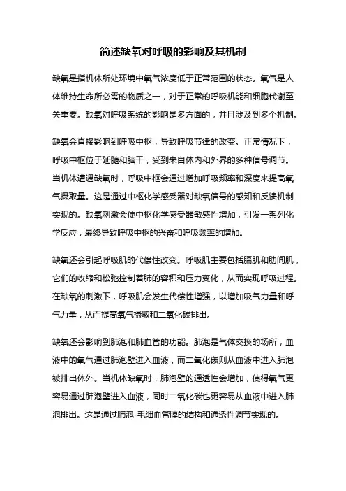 简述缺氧对呼吸的影响及其机制
