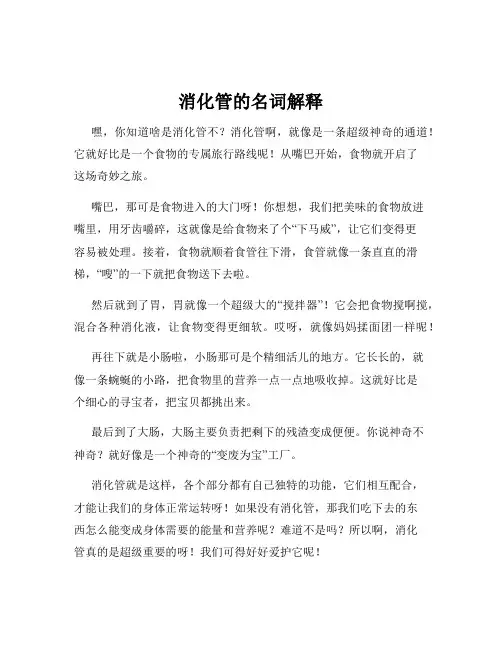 消化管的名词解释