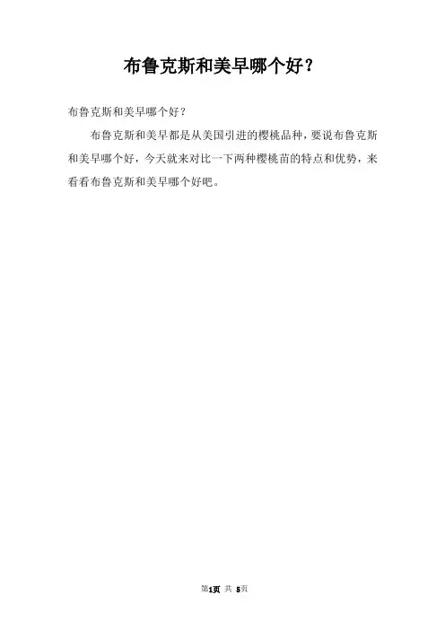 布鲁克斯和美早哪个好？