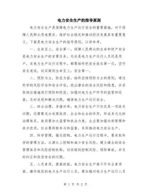 电力安全生产的指导原则