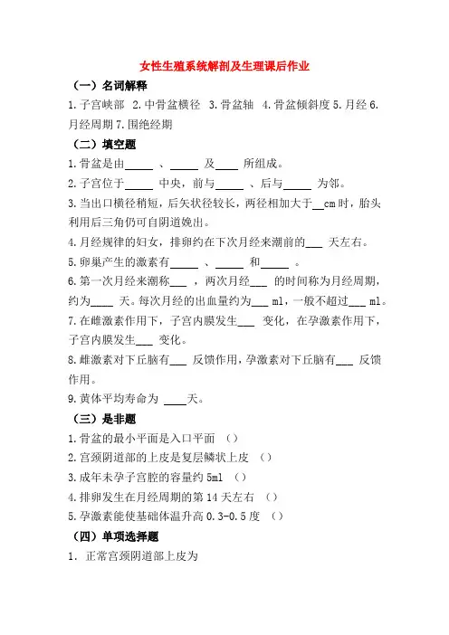 女性生殖系统解剖及生理课后作业