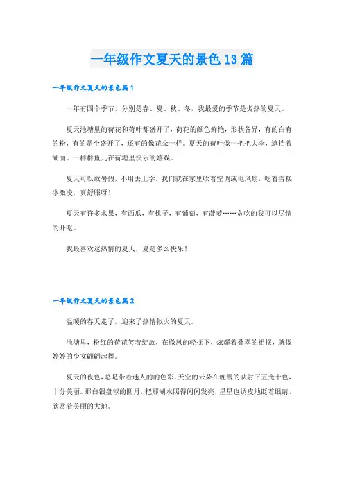一年级作文夏天的景色13篇