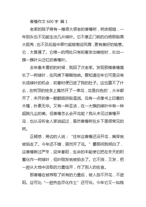 香椿树作文五十字
