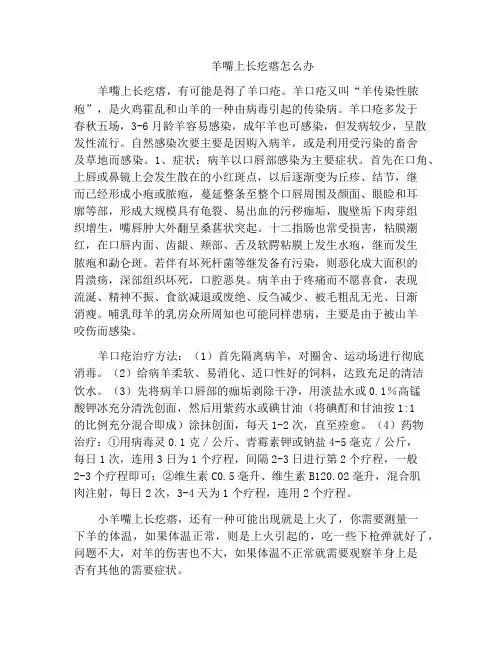 羊嘴上长疙瘩怎么办